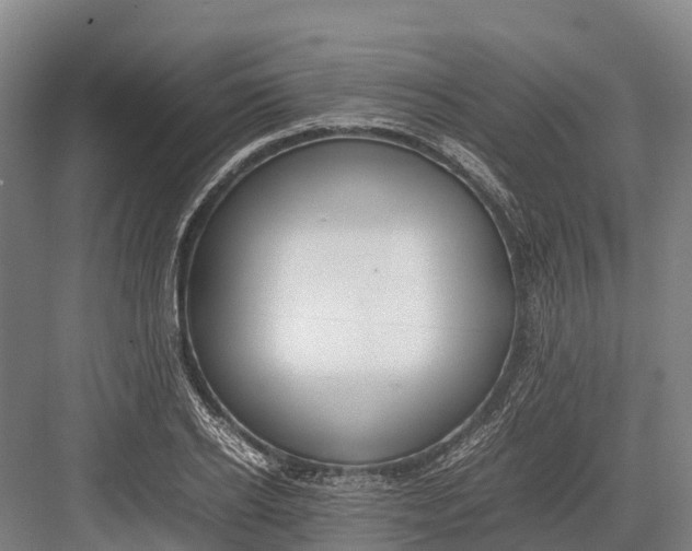 X0000082720934200702161837