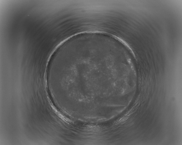 X0000082720935200702161837