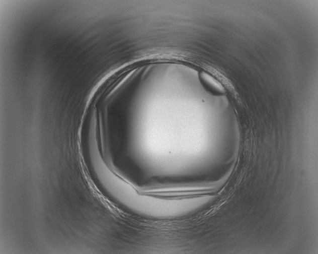 X0000082720936200702161837