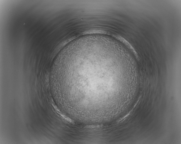 X0000082720937200702161838