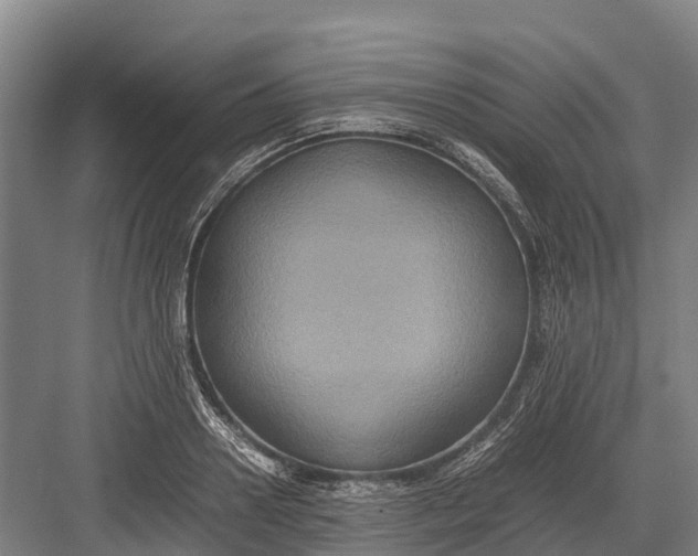 X0000082720938200702161838