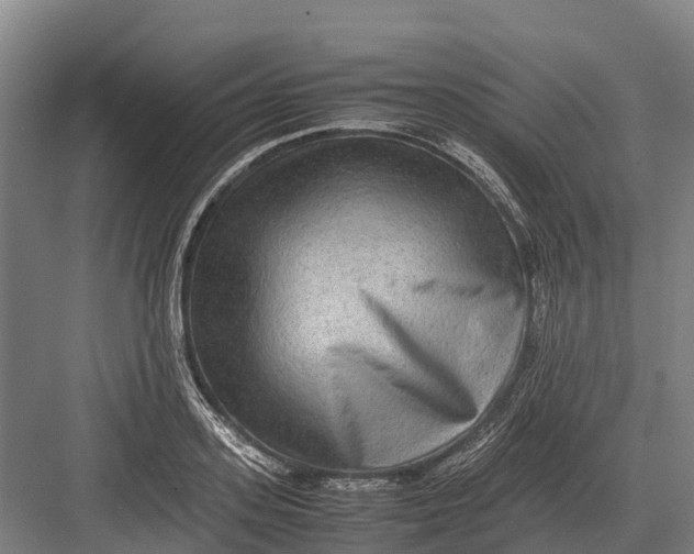 X0000082720939200702161838