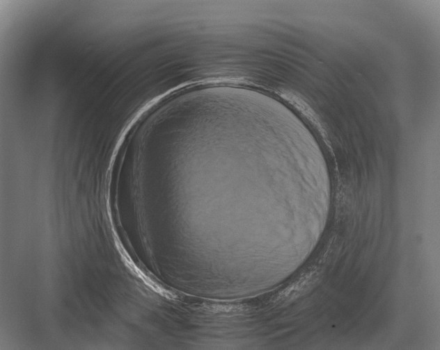 X0000082720941200702161838