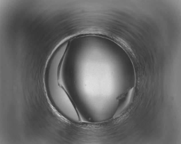 X0000082720942200702161838