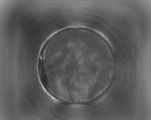 X0000082720943200702161838