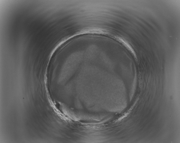 X0000082720944200702161838