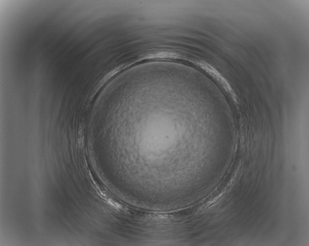 X0000082720945200702161838