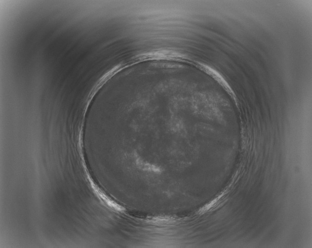 X0000082720946200702161838