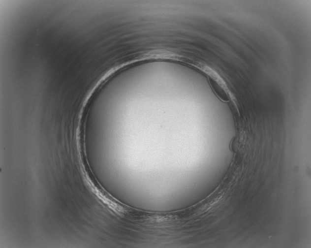 X0000082720947200702161838