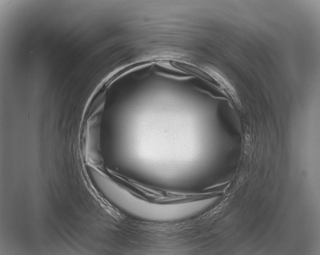 X0000082720948200702161838