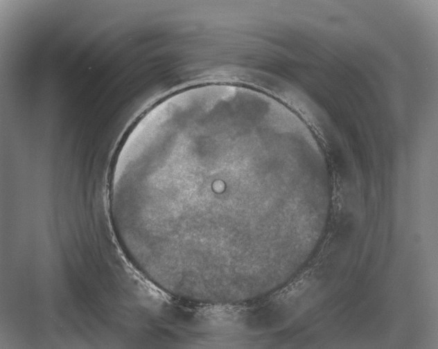 X0000082720950200702161838