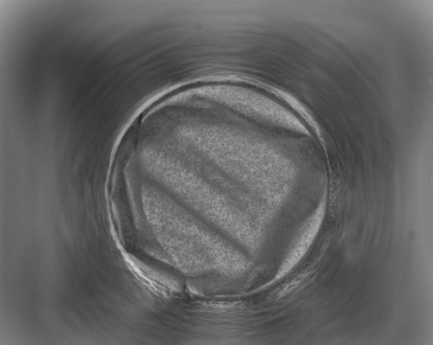 X0000082720951200702161838