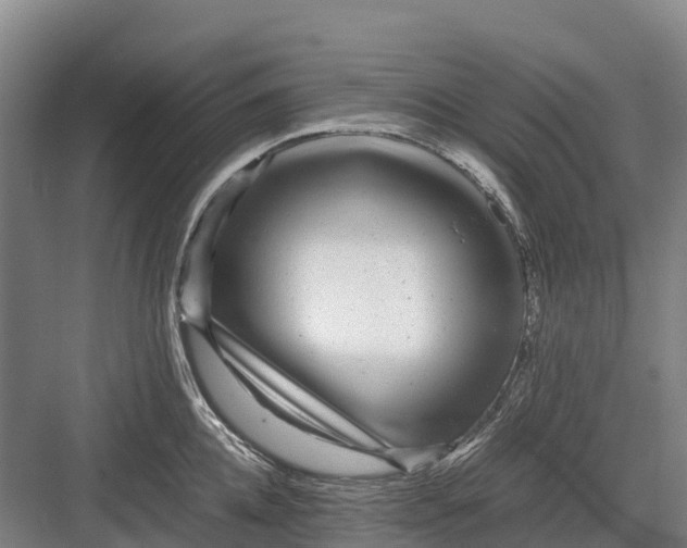 X0000082720952200702161838