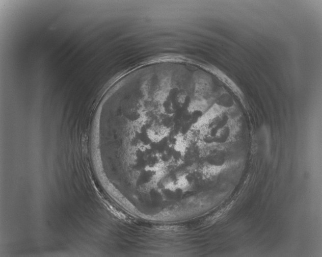 X0000082720953200702161838