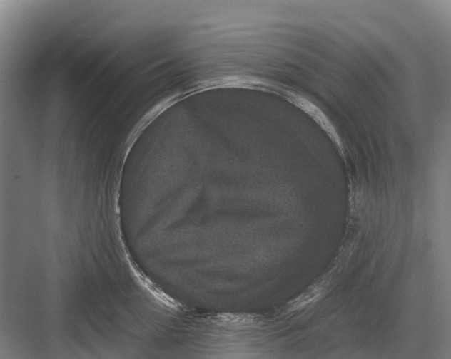 X0000082720954200702161838