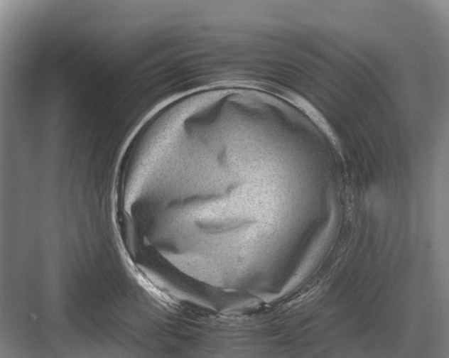 X0000082720955200702161838