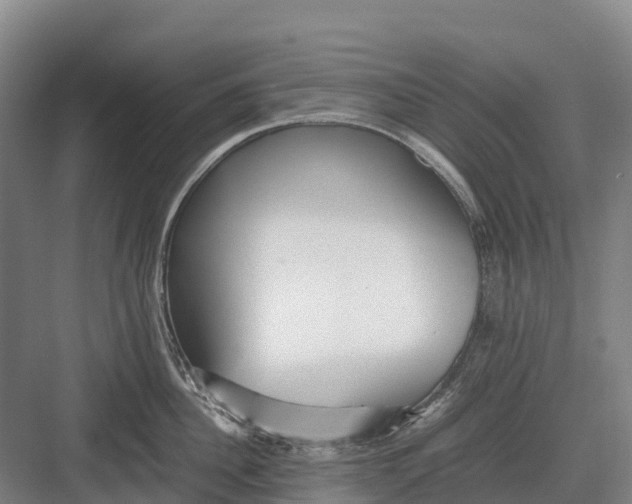 X0000082720956200702161838