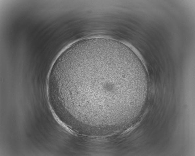 X0000082720957200702161838