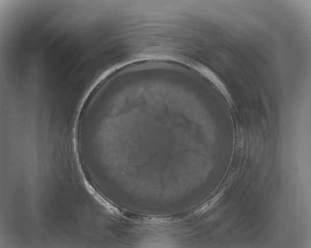 X0000082720958200702161838