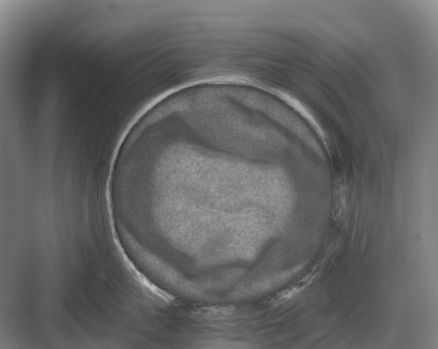 X0000082720959200702161838