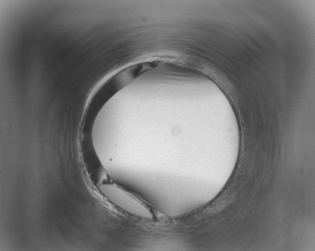 X0000082720960200702161838