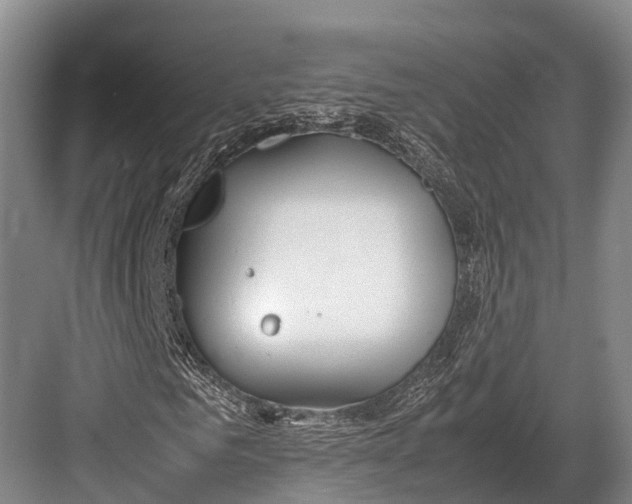 X0000082720961200702161837