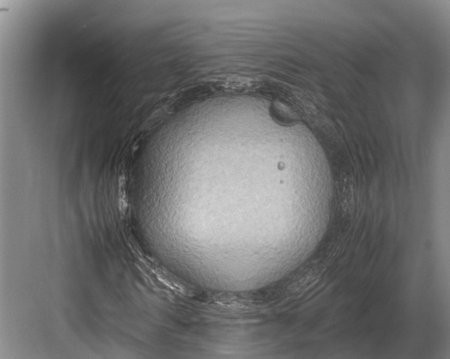 X0000082720962200702161837