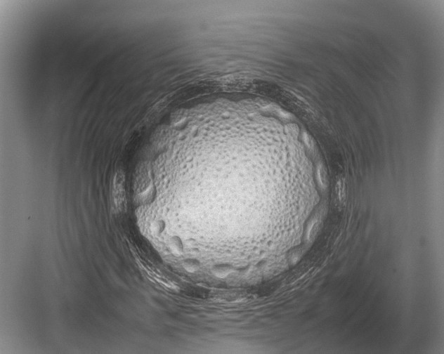 X0000082720963200702161837