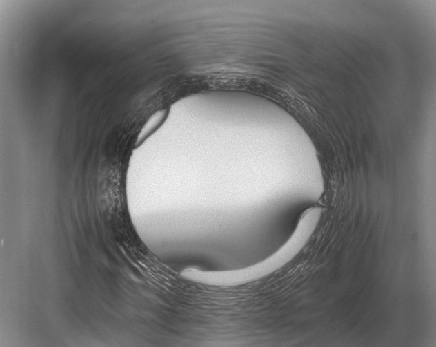 X0000082720964200702161837