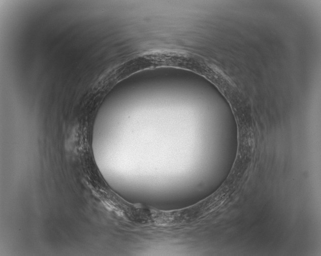 X0000082720965200702161837