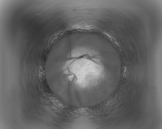 X0000082720966200702161837