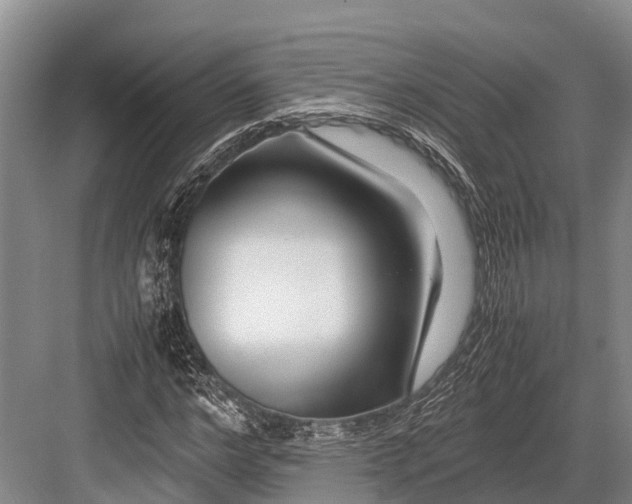 X0000082720968200702161837