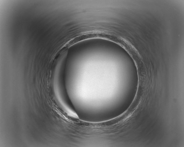 X0000082720969200702161837