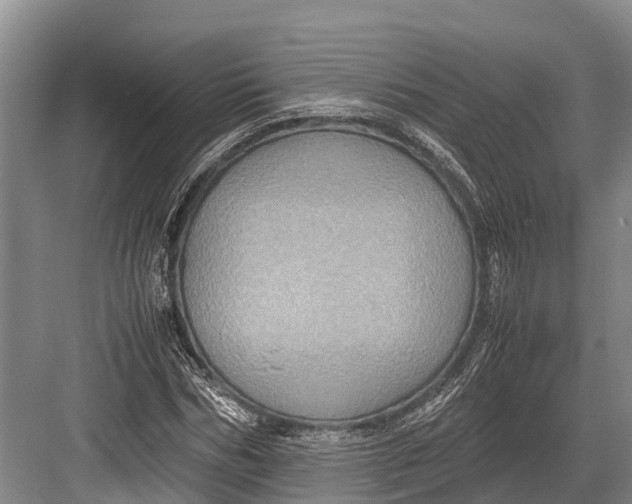 X0000082720970200702161837