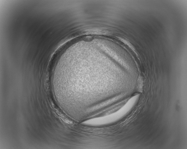 X0000082720971200702161837