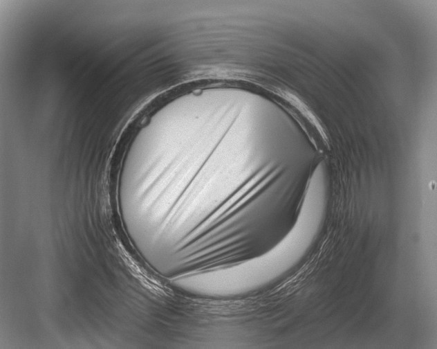 X0000082720972200702161837