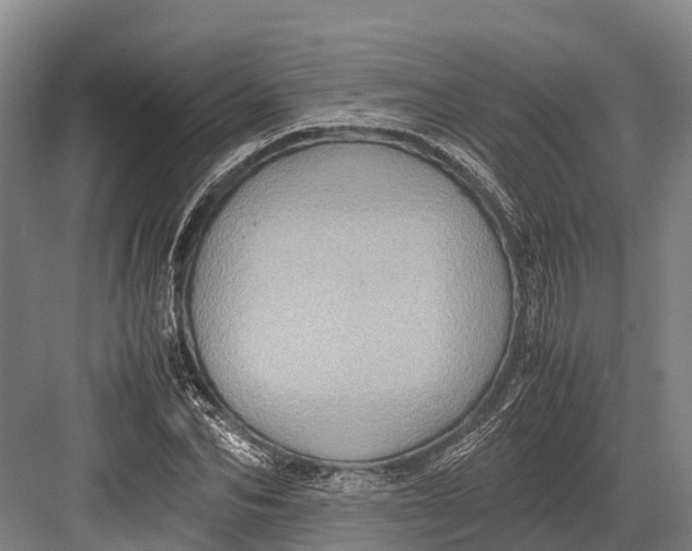 X0000082720974200702161837