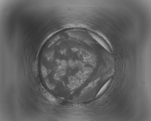 X0000082720975200702161837