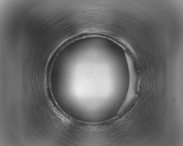 X0000082720976200702161837