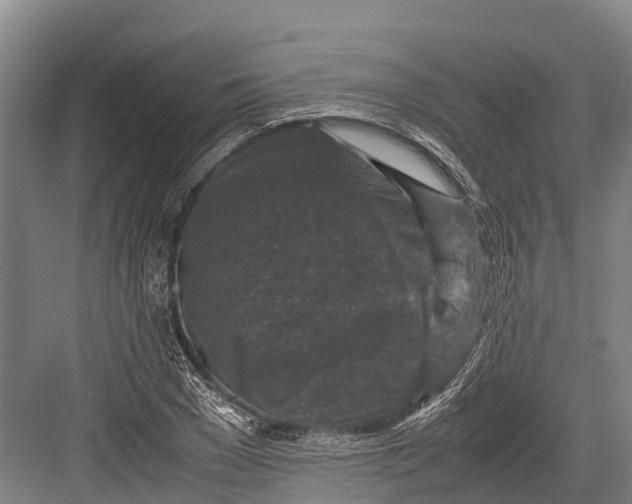 X0000082720977200702161837