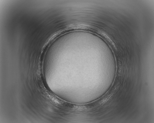 X0000082720978200702161837