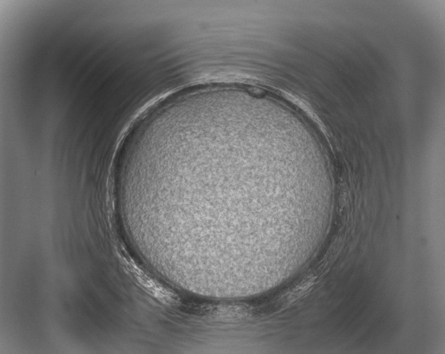 X0000082720979200702161837