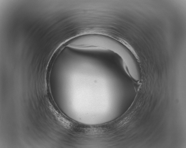 X0000082720980200702161837