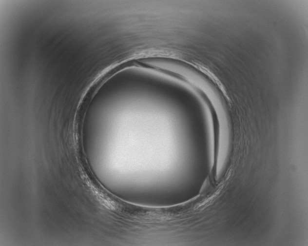 X0000082720981200702161837