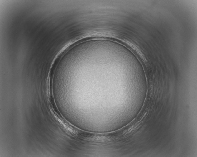 X0000082720982200702161837