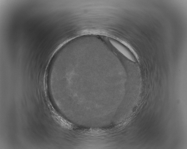 X0000082720983200702161837