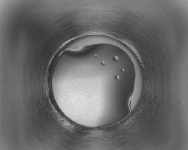 X0000082720984200702161837