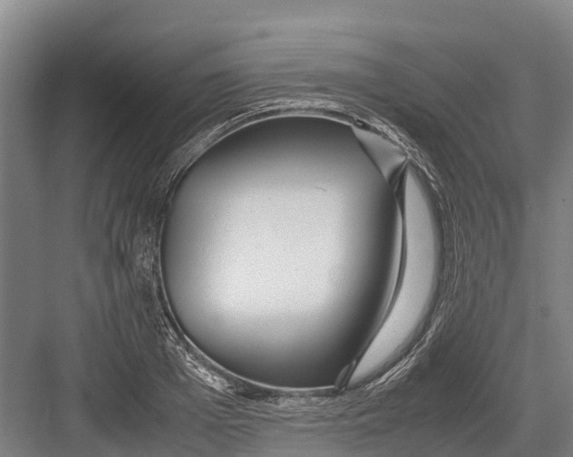 X0000082720985200702161837