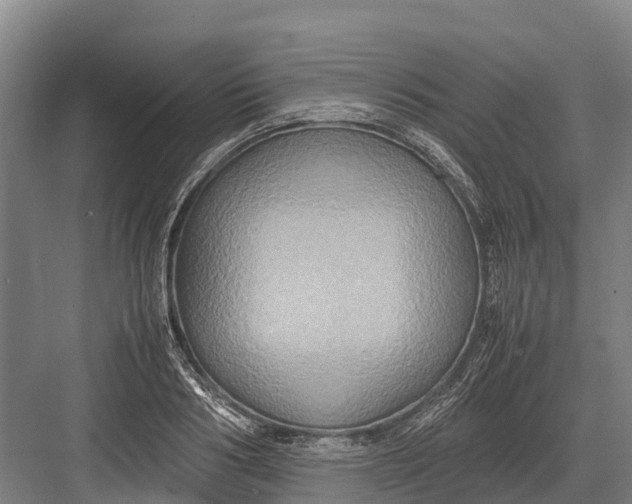 X0000082720986200702161837