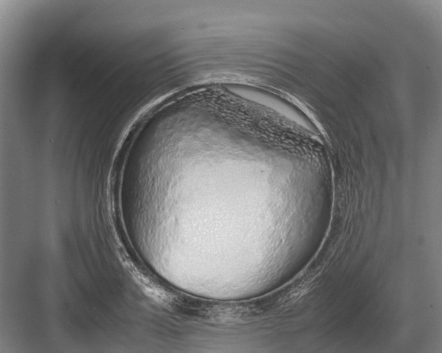 X0000082720987200702161837